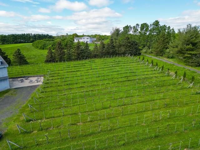 1480 Litchfield Tpke, New Hartford, CT 06057 - view of yard featuring a view of rural / pastoral area