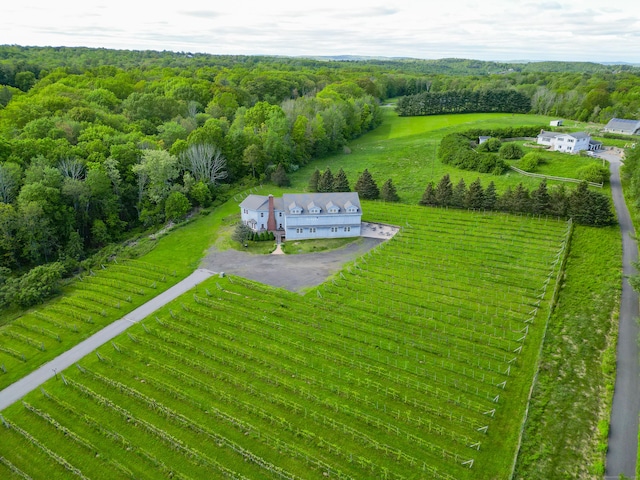 1480 Litchfield Tpke, New Hartford, CT 06057 - view of rural area with a heavily wooded area