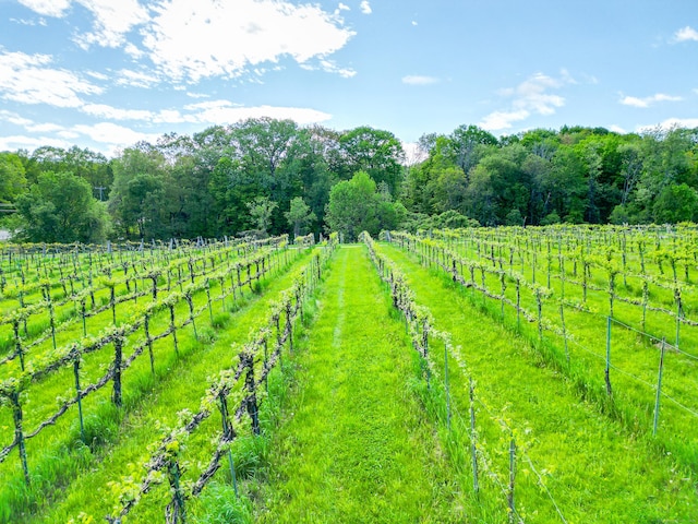 1480 Litchfield Tpke, New Hartford, CT 06057 - view of yard with a rural view and agricultural plots