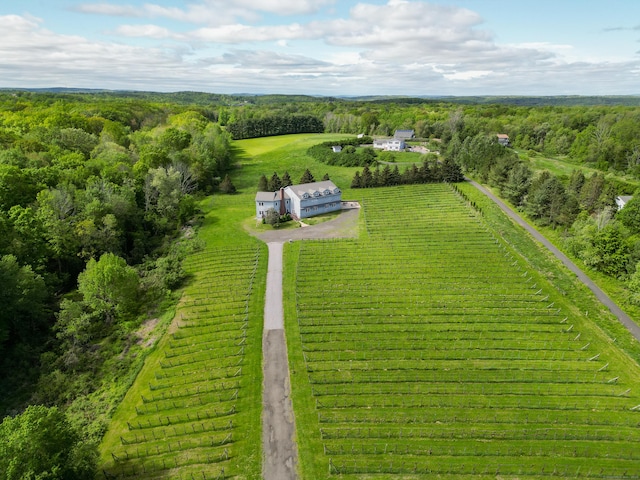 1480 Litchfield Tpke, New Hartford, CT 06057 - aerial view of sparsely populated area featuring farmland