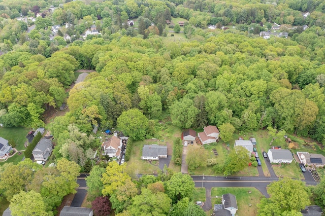 45 S Eagle St, Plymouth, CT 06786 - view of property location with a heavily wooded area