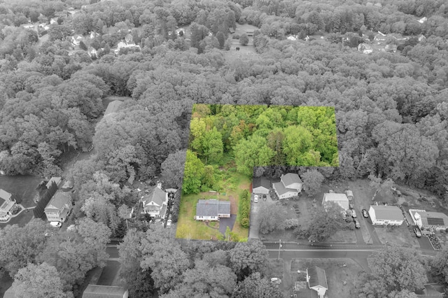 45 S Eagle St, Plymouth, CT 06786 - aerial view of residential area featuring a forest