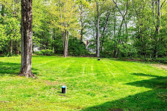 64 Warren Gln, Burlington, CT 06013 - view of green lawn