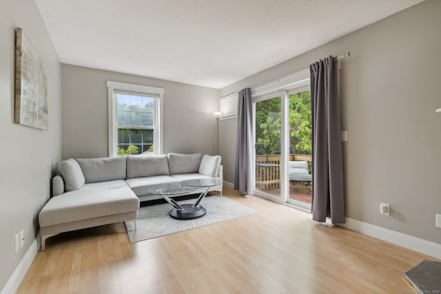 745 Merrow Rd Apt 113, Coventry, CT 06238 - living area with light wood-style flooring and baseboards