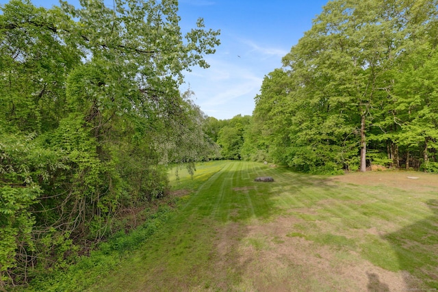 745 Merrow Rd Apt 113, Coventry, CT 06238 - view of green lawn