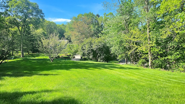 3 Inwood Ln, Woodbury, CT 06798 - view of grassy yard