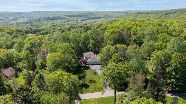 3 Inwood Ln, Woodbury, CT 06798 - bird's eye view of a heavily wooded area