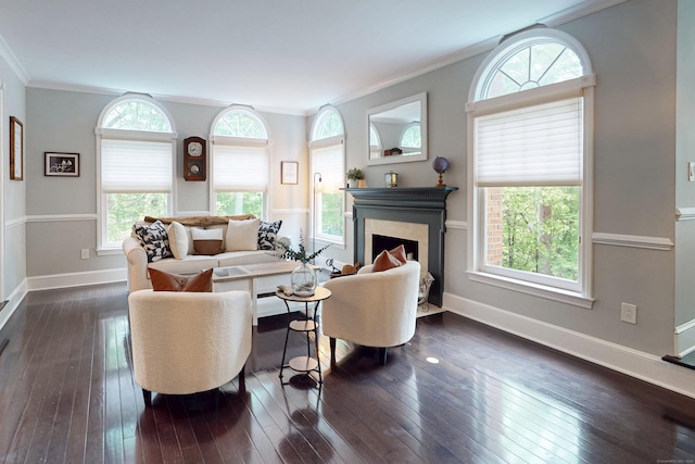 3 Inwood Ln, Woodbury, CT 06798 - living room with ornamental molding, dark wood-style flooring, and a fireplace