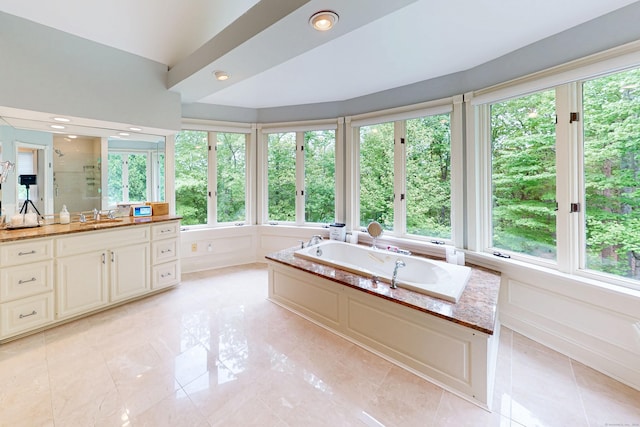 3 Inwood Ln, Woodbury, CT 06798 - full bathroom featuring vanity, plenty of natural light, a garden tub, a shower with shower door, and a decorative wall