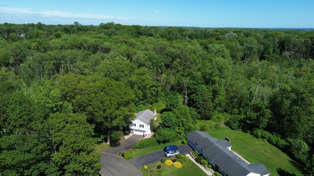 19 Arrowhead Ln, Branford, CT 06405 - photo 18