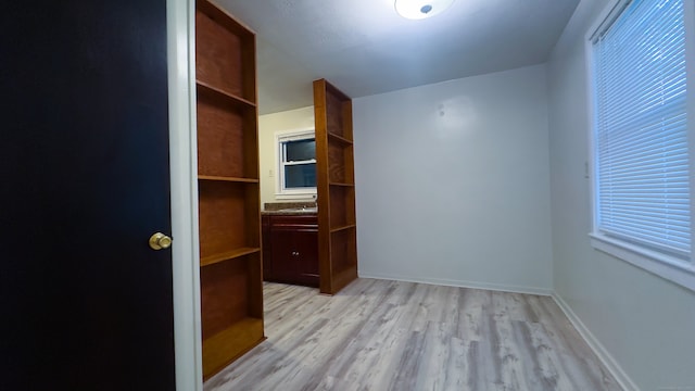 125 Lebanon St, Hartford, CT 06112 - walk in closet featuring light wood-type flooring