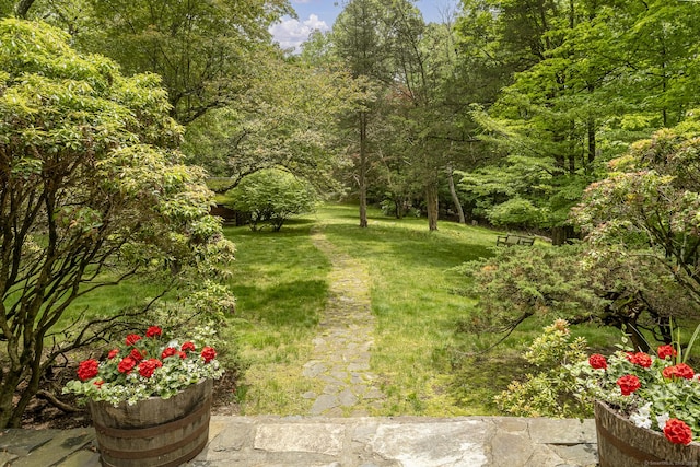 670 Candlewood Lake Rd S, New Milford, CT 06776 - photo 18
