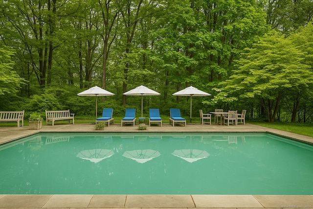670 Candlewood Lake Rd S, New Milford, CT 06776 - photo 3