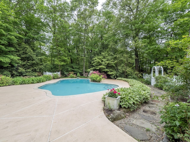 outdoor pool featuring a patio