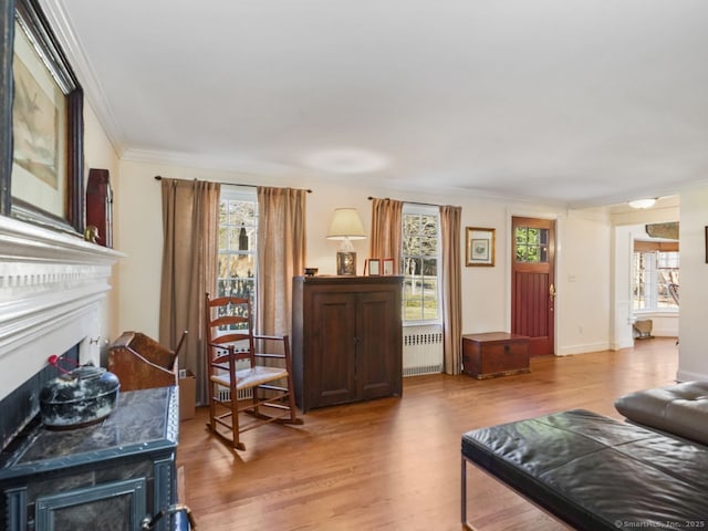 44 Meadow Ridge Dr, Easton, CT 06612 - living room with a fireplace, radiator heating unit, light wood-type flooring, and crown molding
