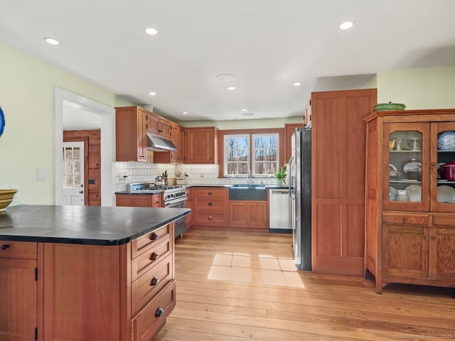 44 Meadow Ridge Dr, Easton, CT 06612 - kitchen featuring under cabinet range hood, appliances with stainless steel finishes, a sink, light wood finished floors, and decorative backsplash