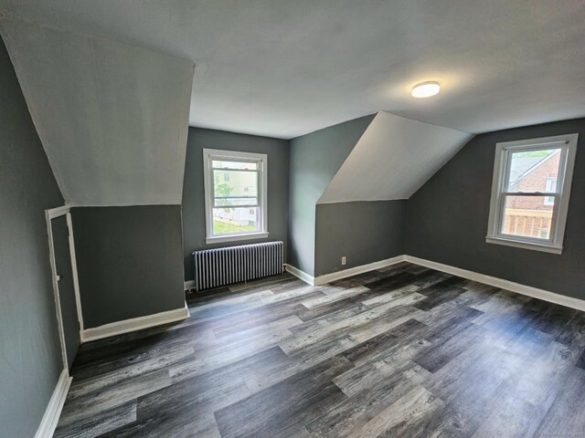354 Clinton St, New Britain, CT 06053 - additional living space featuring radiator, plenty of natural light, vaulted ceiling, dark wood-style flooring, and baseboards