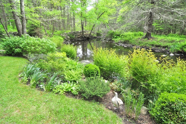 21 Bexley Ct, Goshen, CT 06756 - view of yard