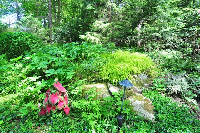 21 Bexley Ct, Goshen, CT 06756 - view of local wilderness
