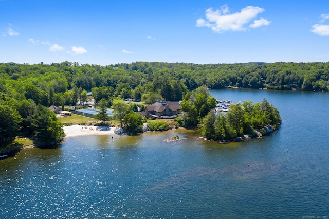21 Bexley Ct, Goshen, CT 06756 - water view with a forest