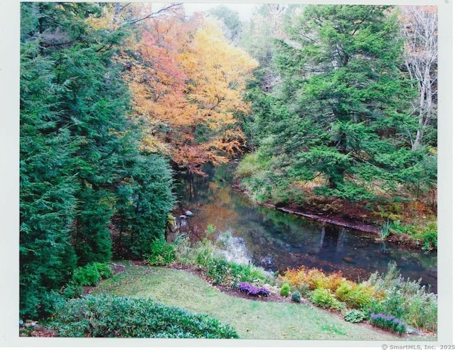 21 Bexley Ct, Goshen, CT 06756 - view of yard featuring a forest view