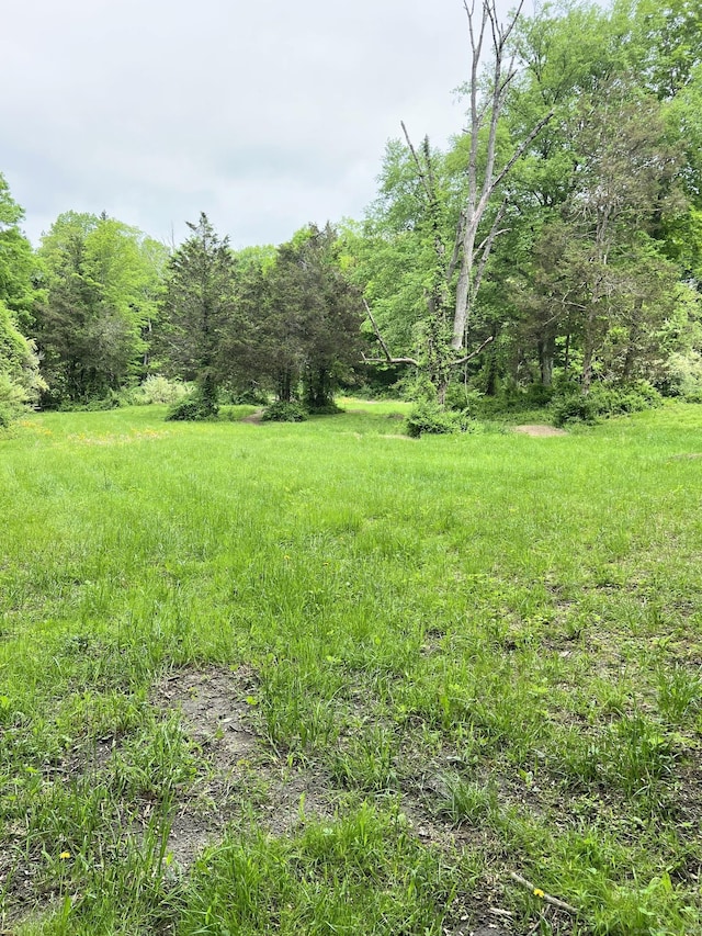 49 Warner Rd, Bridgewater, CT 06752 - view of yard