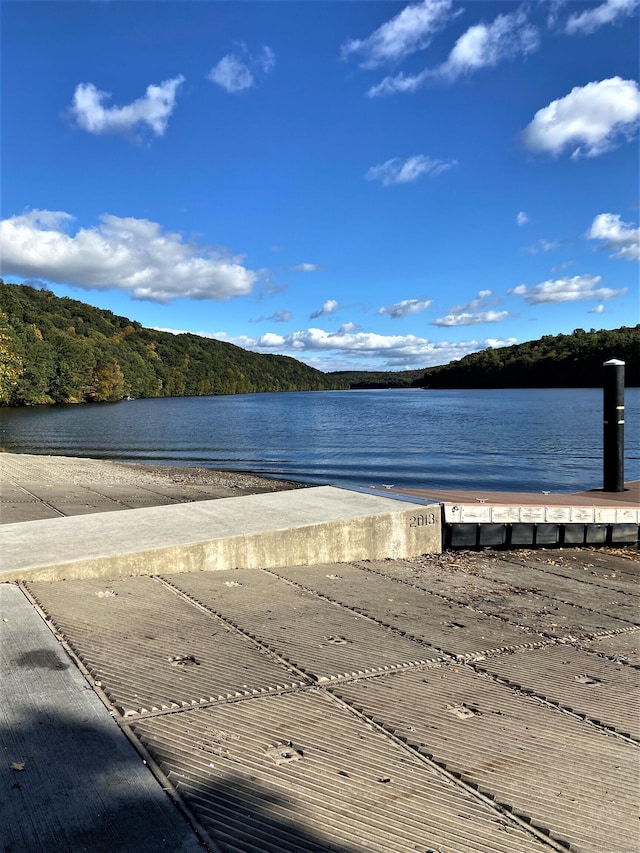 49 Warner Rd, Bridgewater, CT 06752 - water view with a boat ramp and a forest