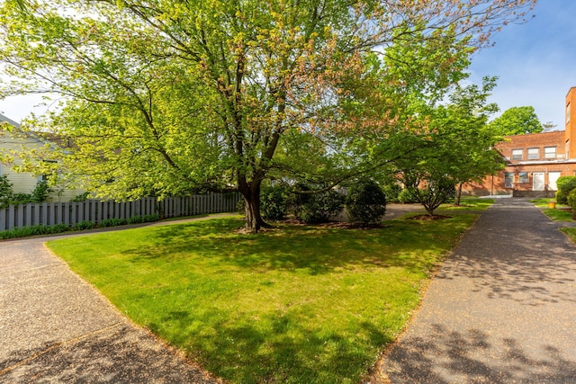 201 College St Unit 3, Middletown, CT 06457 - view of yard