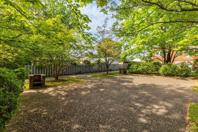201 College St Unit 3, Middletown, CT 06457 - view of yard