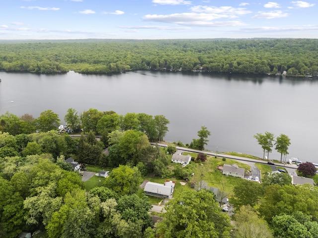 114 Wildwood Rd, East Haddam, CT 06415 - aerial view of a forest and a nearby body of water