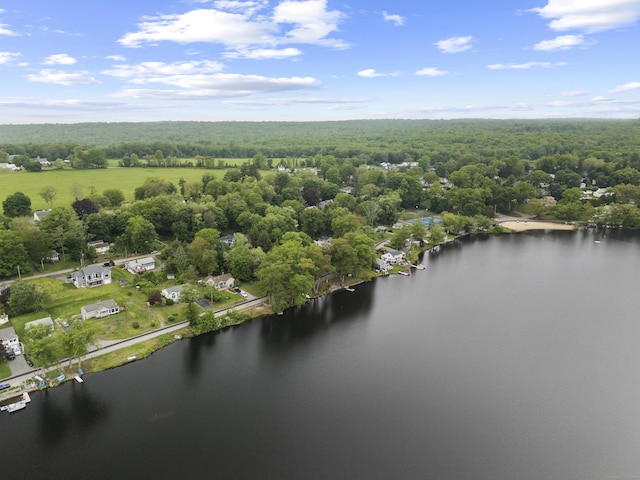114 Wildwood Rd, East Haddam, CT 06415 - drone / aerial view of a heavily wooded area and a nearby body of water