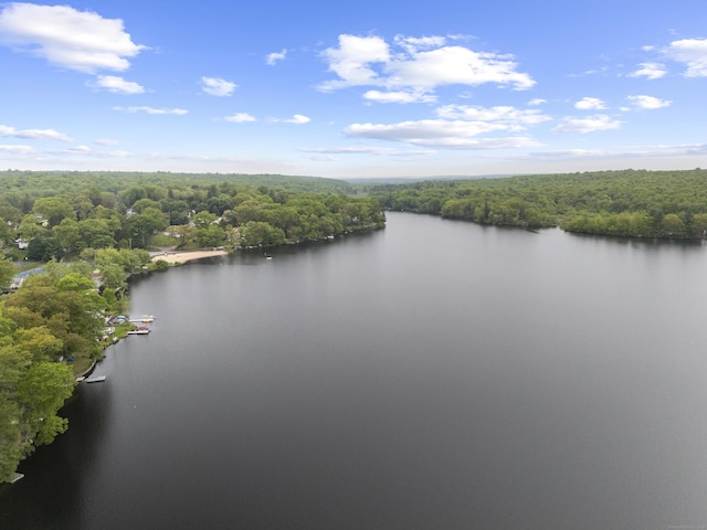114 Wildwood Rd, East Haddam, CT 06415 - aerial view of a forest and a large body of water