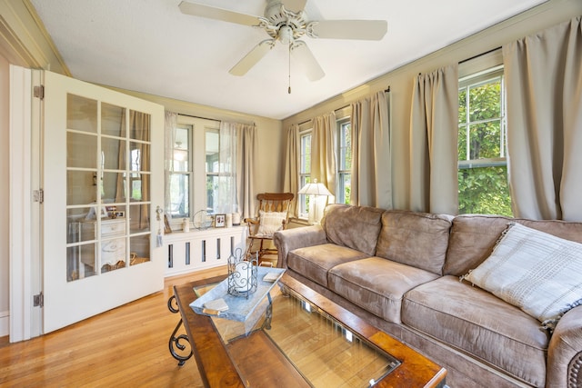 8 Usher Ave, Plainville, CT 06062 - living room featuring wood finished floors and ceiling fan