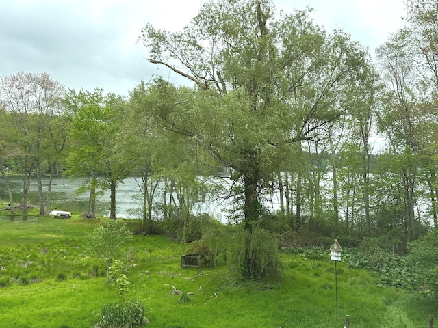 331 Pond Hill Rd, Plainfield, CT 06354 - view of nature with a large body of water