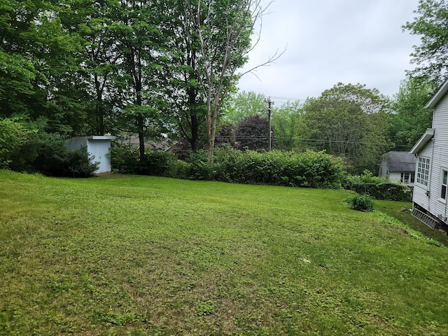 706 Waterville St, Waterbury, CT 06710 - view of green lawn