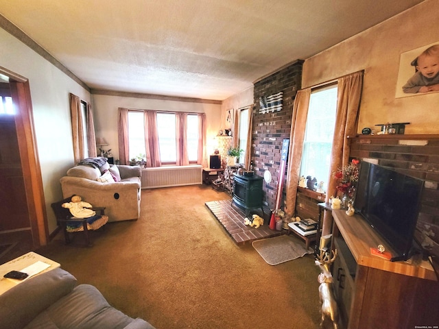 706 Waterville St, Waterbury, CT 06710 - living room featuring a wood stove and carpet flooring