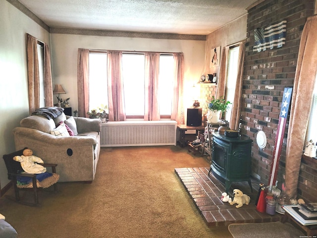 706 Waterville St, Waterbury, CT 06710 - living room featuring radiator, carpet floors, a wood stove, and a textured ceiling