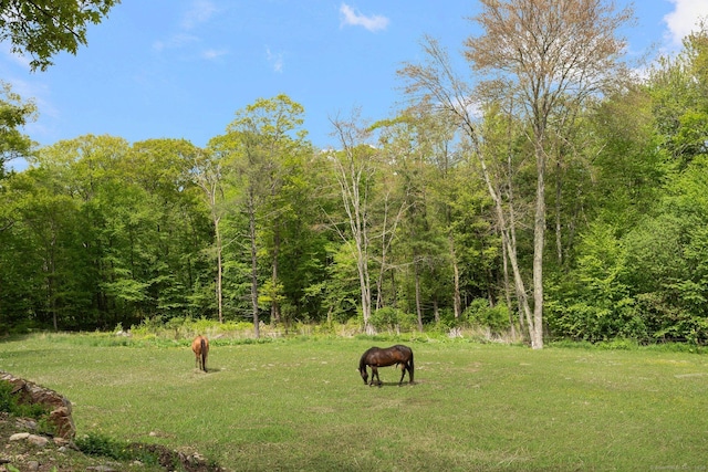 232 Bailey Hill Rd, Killingly, CT 06239 - view of home's community featuring a lawn and a view of trees
