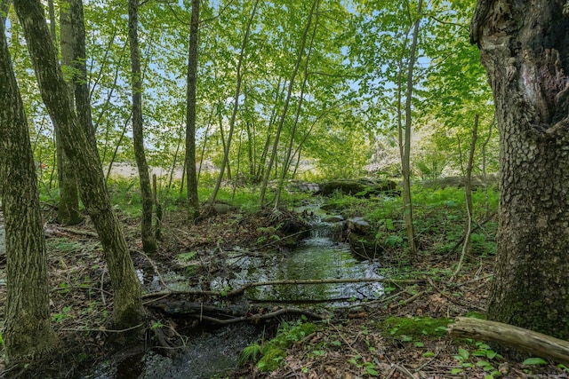 232 Bailey Hill Rd, Killingly, CT 06239 - view of undeveloped land