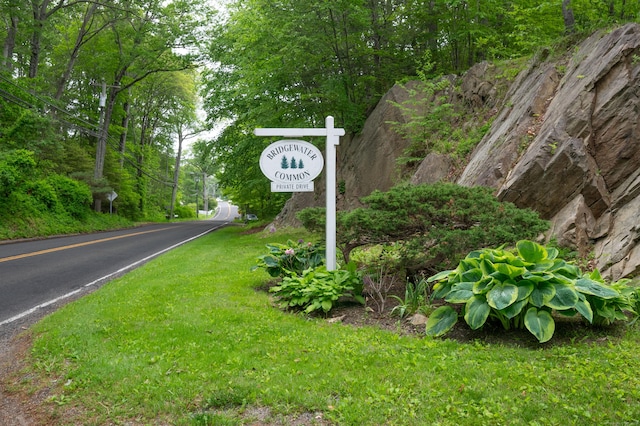 5 Bridgewater Cmn Unit 5, Bridgewater, CT 06752 - view of asphalt road