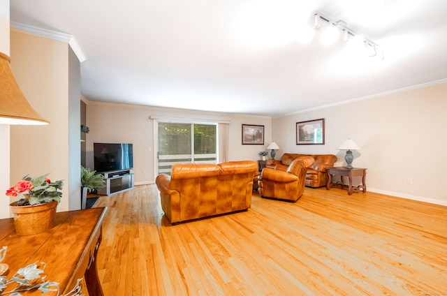 5 Bridgewater Cmn Unit 5, Bridgewater, CT 06752 - living area featuring track lighting, wood finished floors, crown molding, and baseboards