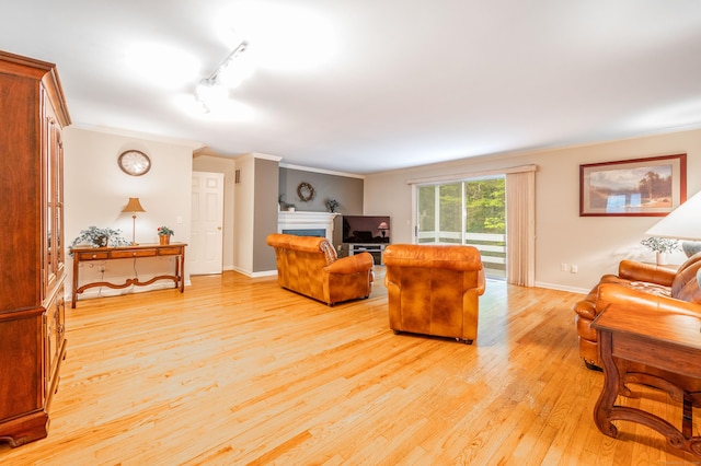 5 Bridgewater Cmn Unit 5, Bridgewater, CT 06752 - living area with light wood-style floors, crown molding, a fireplace, baseboards, and rail lighting