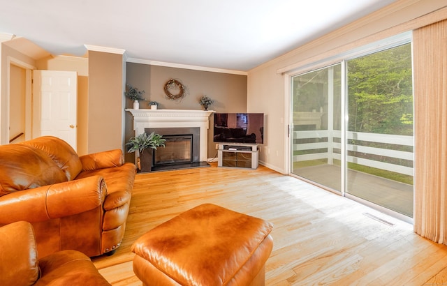 5 Bridgewater Cmn Unit 5, Bridgewater, CT 06752 - living area featuring light wood finished floors, ornamental molding, and a fireplace