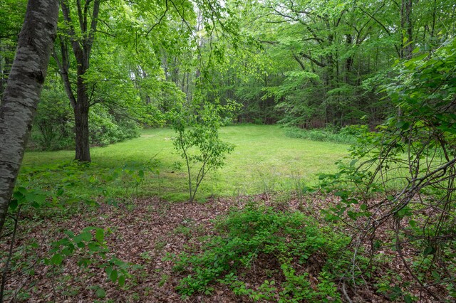 5 Bridgewater Cmn Unit 5, Bridgewater, CT 06752 - view of green lawn with a wooded view