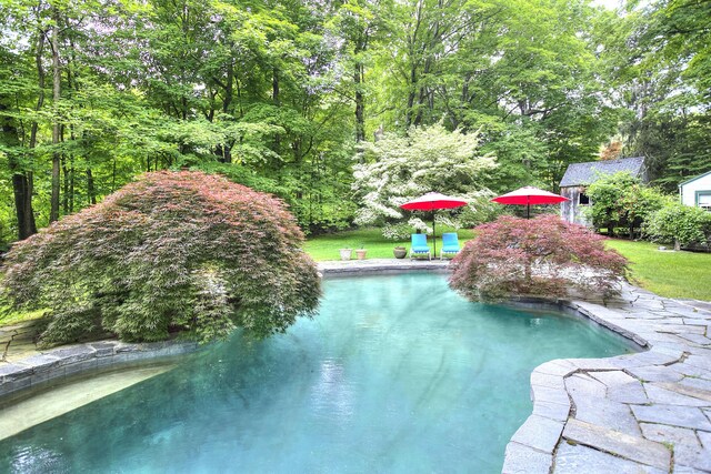 481 Ridgefield Rd, Wilton, CT 06897 - view of swimming pool
