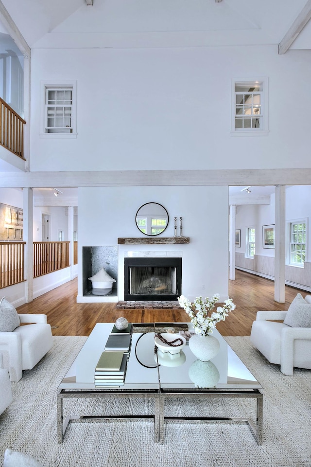 481 Ridgefield Rd, Wilton, CT 06897 - living room featuring high vaulted ceiling, wood finished floors, and a glass covered fireplace