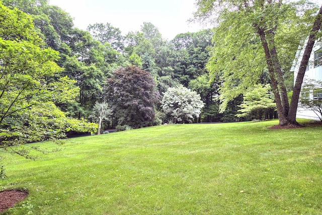 481 Ridgefield Rd, Wilton, CT 06897 - view of grassy yard