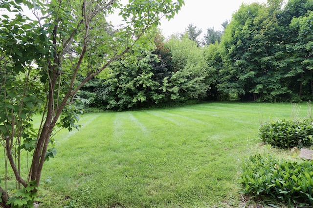 880 Long Hill Rd Unit 880, Middletown, CT 06457 - view of grassy yard
