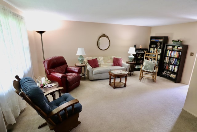880 Long Hill Rd Unit 880, Middletown, CT 06457 - view of carpeted living room