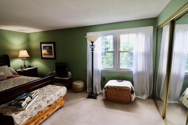 880 Long Hill Rd Unit 880, Middletown, CT 06457 - bedroom featuring carpet floors and a closet